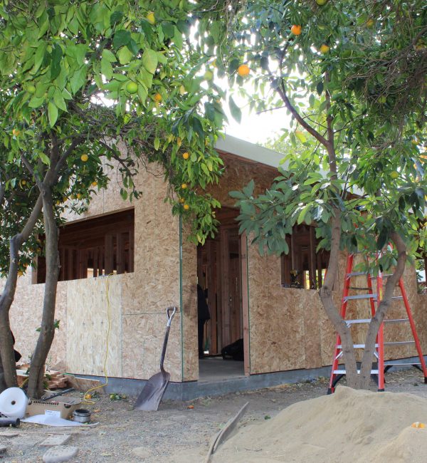 Bluejay Nest Construction remodeling